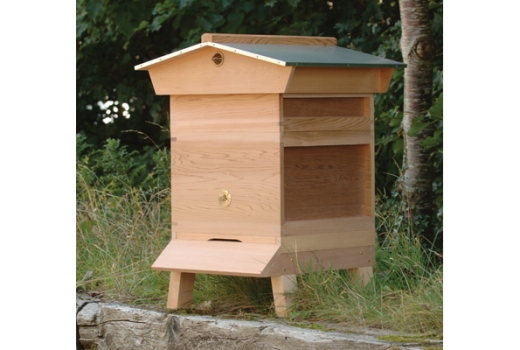 HIVE: What is the “British Modified National Hive ...